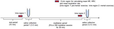 Differential Effects of Focused Attention and Open Monitoring Meditation on Autonomic Cardiac Modulation and Cortisol Secretion